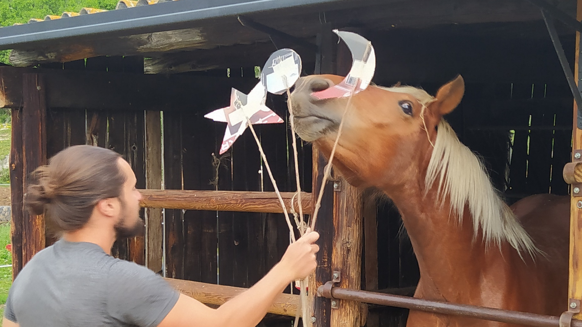 Journée Initiation au Clicker Training à Can Llull